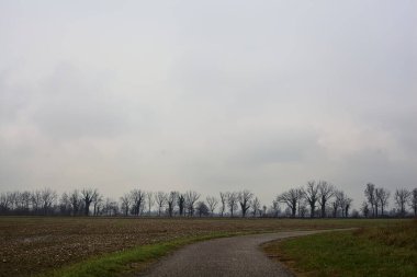 Paved path next to a cultivated field with a row of bare trees in the distance on a cloudy day