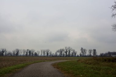 Paved path next to a cultivated field with a row of bare trees in the distance on a cloudy day