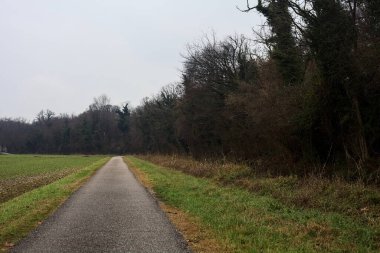 Asphalt trail bordered by a cultivated field and a forest next to a stream of water on a cloudy day in the italian countryside