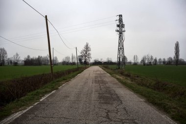 Empty road with wooden poles at its edge and fields bordering it on a cloudy day in the italian countryside