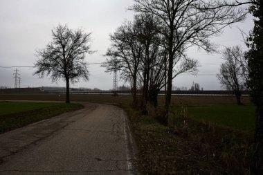 Bend in a country road with a tree at its edge on a cloudy day