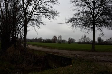Bend in a country road with a tree at its edge on a cloudy day