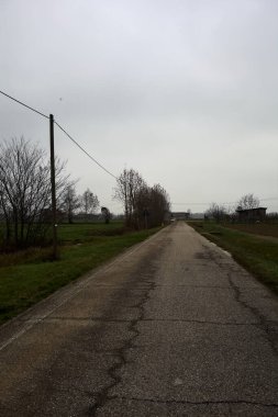 Empty road with wooden poles at its edge and fields bordering it on a cloudy day in the italian countryside