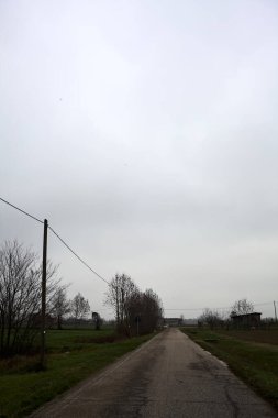 Empty road with wooden poles at its edge and fields bordering it on a cloudy day in the italian countryside
