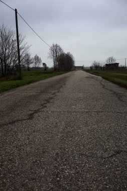 Empty road with wooden poles at its edge and fields bordering it on a cloudy day in the italian countryside