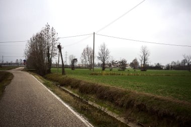 Empty road with wooden poles at its edge and fields bordering it on a cloudy day in the italian countryside
