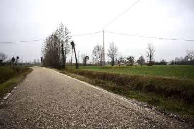 Empty road with wooden poles at its edge and fields bordering it on a cloudy day in the italian countryside