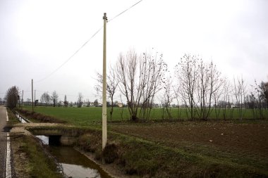 Empty road with wooden poles at its edge and fields bordering it on a cloudy day in the italian countryside