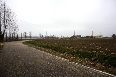 Bend in a country road with a tree at its edge on a cloudy day