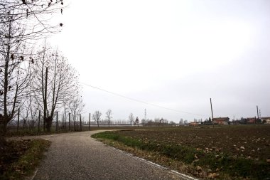 Bend in a country road with a tree at its edge on a cloudy day