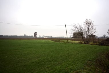 Tree and a country house by the edge of a stream of water next to cultivated fields on an overcast day
