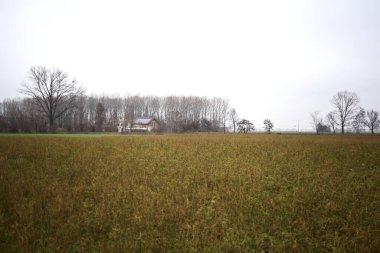 Country house In the middle of cultivated fields and groves in the background on a cloudy day