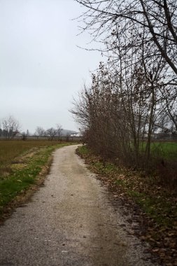 Paved trail next to a field and a row of bare trees on a cloudy day in the italian countryside
