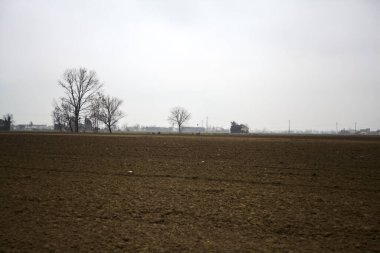 Country house In the middle of cultivated fields and groves in the background on a cloudy day