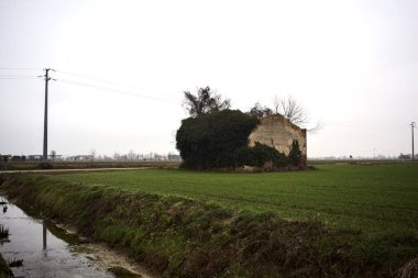 Abandoned country house covered by plants in a cultivated field next to a road and a stream of water on a cloudy day in the italian countryside