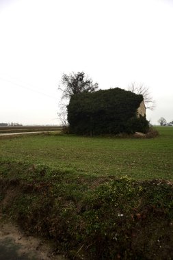 Abandoned country house covered by plants in a cultivated field next to a road and a stream of water on a cloudy day in the italian countryside