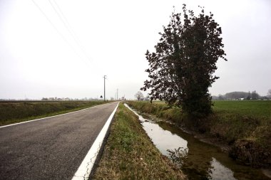 Bare tree by the edge of a stream of water next to a cultivated field on a cloudy day in the italian countryside