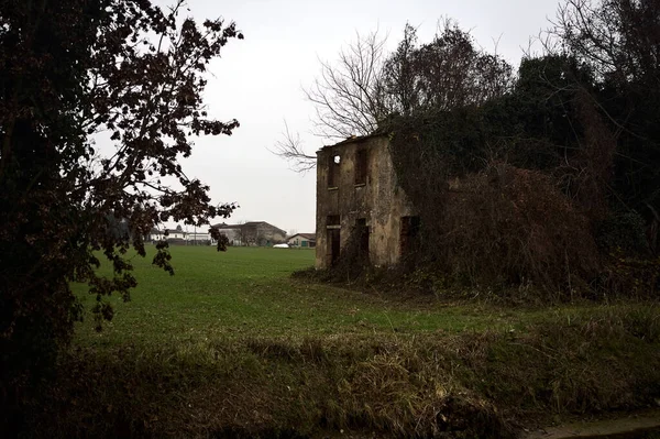 Abandoned country house covered by plants in a cultivated field next to a road and a stream of water on a cloudy day in the italian countryside