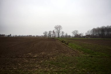 Country house In the middle of cultivated fields and groves in the background on a cloudy day