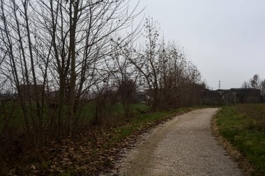 Paved trail next to a field and a row of bare trees on a cloudy day in the italian countryside