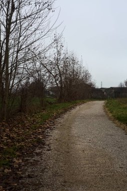 Paved trail next to a field and a row of bare trees on a cloudy day in the italian countryside