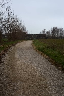 Paved trail next to a field and a row of bare trees on a cloudy day in the italian countryside