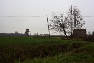 Tree and a country house by the edge of a stream of water next to cultivated fields on an overcast day