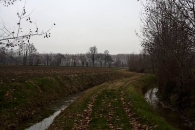 Trail bordered by irrigation channel and bare trees on a cloudy day in the italian countryside in winter
