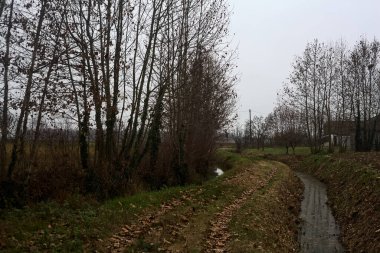 Trail bordered by irrigation channel and bare trees on a cloudy day in the italian countryside in winter
