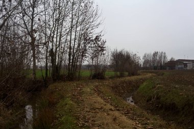 Trail bordered by irrigation channel and bare trees on a cloudy day in the italian countryside in winter