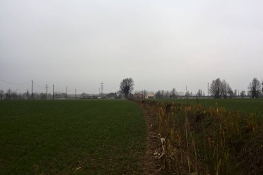 Dry irrigation channel with a tree growing at its edge seen from afar on a cloudy day in the italian countryside