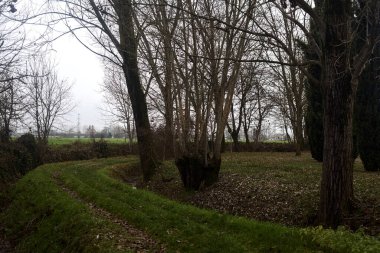 Trail bordered by irrigation channel and bare trees on a cloudy day in the italian countryside in winter