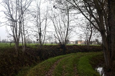 Trail bordered by irrigation channel and bare trees on a cloudy day in the italian countryside in winter