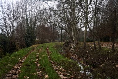 Trail bordered by irrigation channel and bare trees on a cloudy day in the italian countryside in winter