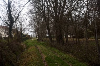 Trail bordered by irrigation channel and bare trees on a cloudy day in the italian countryside in winter