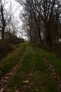 Trail bordered by irrigation channel and bare trees on a cloudy day in the italian countryside in winter
