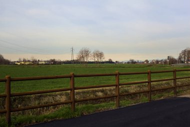 Country road between fields with bare trees and electricity pylons with over head cables on a cloudy day