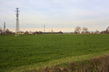 Cultivated field with electricity pylons and over head cables on a cloudy day in the italian countryside
