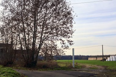 Asphalted trail bordered by wooden railing with an abandoned country house and a bare tree on a cloudy day