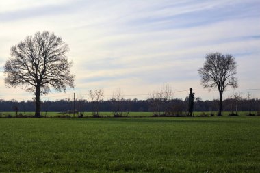 Bare trees in a cultivated field in winter on a sunny day in the italian countryside