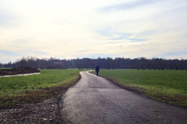 Paved trail between cultivated fields on a sunny day in the italian countryside