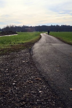 Paved trail between cultivated fields on a sunny day in the italian countryside