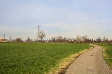 Paved trail between cultivated fields on a sunny day in the italian countryside