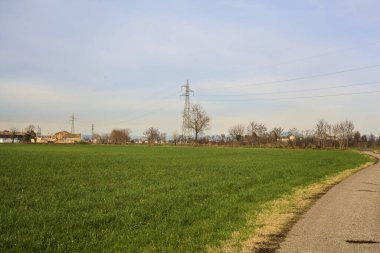 Paved trail between cultivated fields on a sunny day in the italian countryside