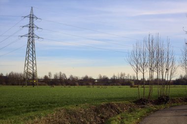 Paved trail bordered by bare trees between fields in the italian countryside