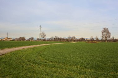 Paved trail between cultivated fields on a sunny day in the italian countryside
