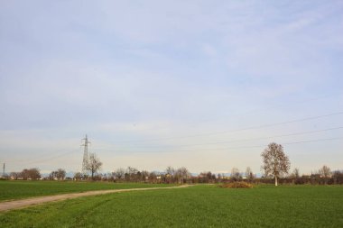 Paved trail between cultivated fields on a sunny day in the italian countryside