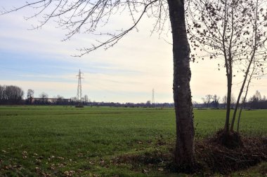 Electricity pylons and over head cables in the middle of a field framed by bare trees in the italian countryside