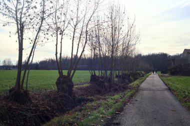 Abandoned country house by the edge of a paved trail in the italian countryside