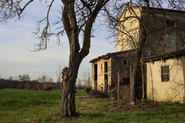 Two bare trees next to an abandoned country house in a field